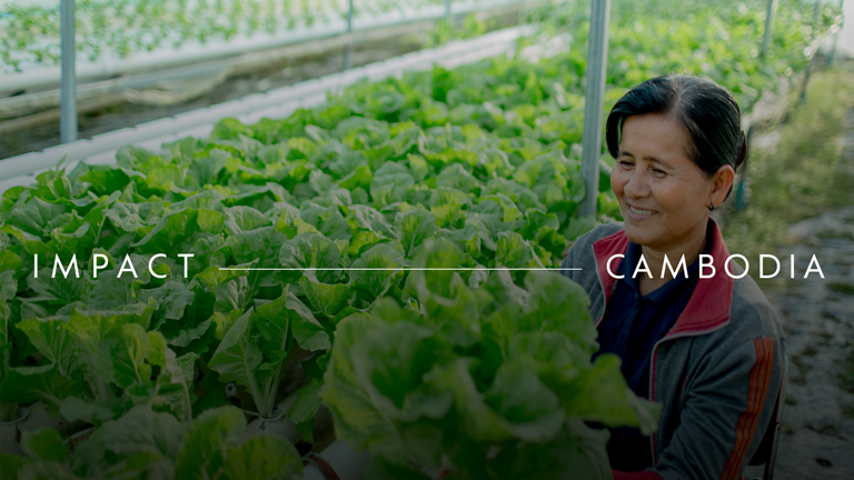 Cambodia https://d1xjdm80qnhnx0.cloudfront.net/Cambodia_Cropped_bcc916e380.png